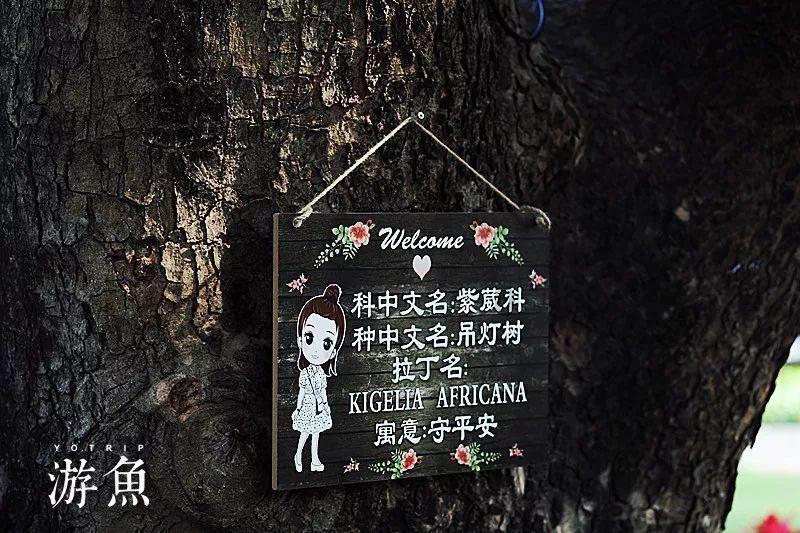 万词王